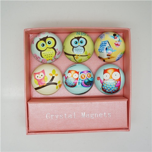 Fridge Magnet/cute owl series fridge magnet