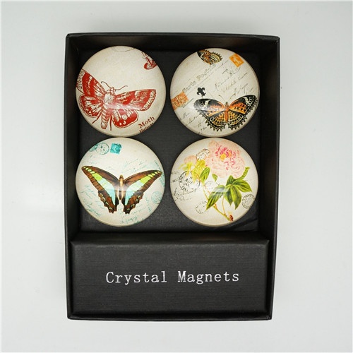 Fridge Magnet/butterfly fridge magnet set