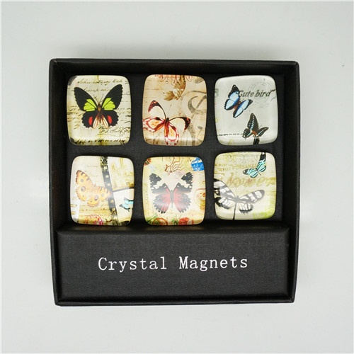 Fridge magnet/ butterfly themes series fridge magnet