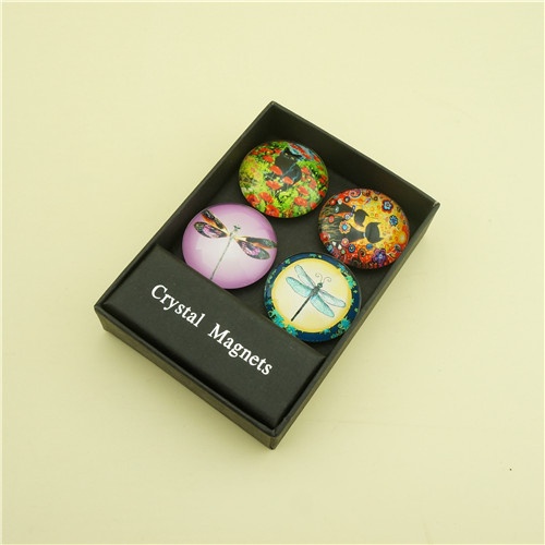 Small Gift Box with 4 pcs Dome Crystal with Strong Rubber Magnets
