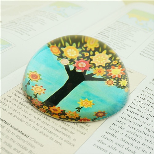 Forrest Trees Book Paper Weight/Paperweight Manufacturers Direct Sale