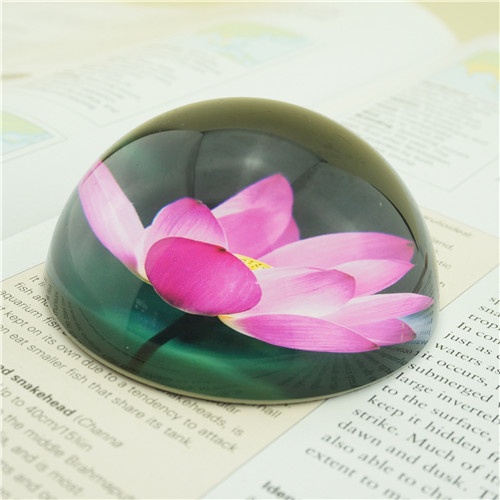 Crystal Lotus Flower Paperweights/8cm Semisphere Glass Paperweight for sale