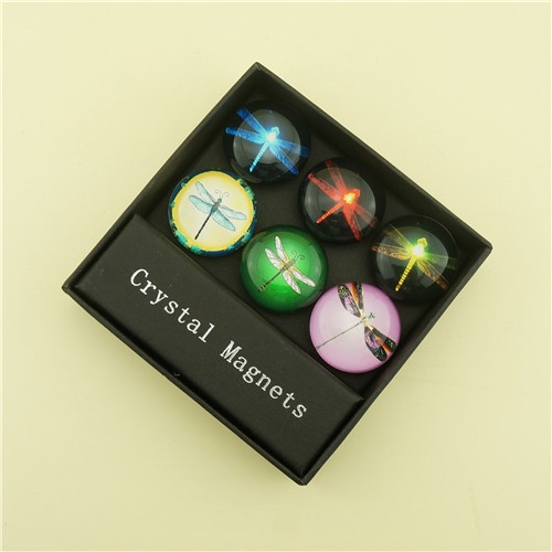 Girls' Favorite Gift Set of Flying Dragonfly Crystal Magnets
