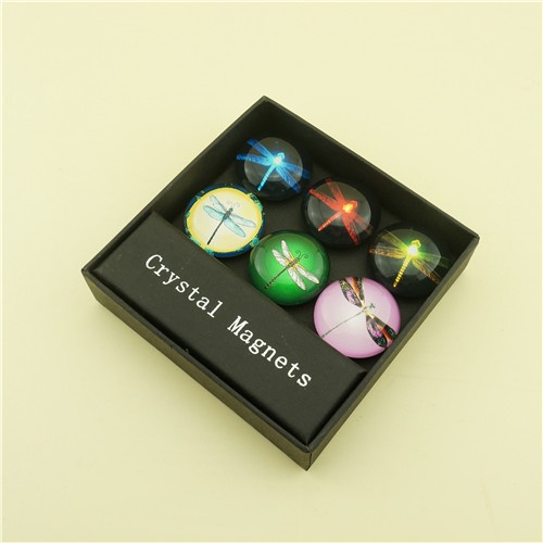 Girls' Favorite Gift Set of Flying Dragonfly Crystal Magnets