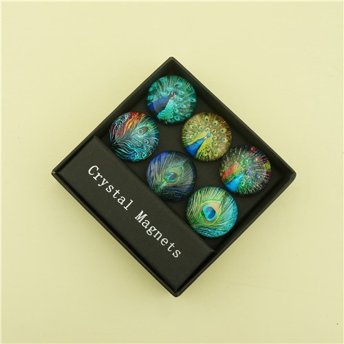 Best Gifts for her/Classic Peacock Design Fridge Magnets