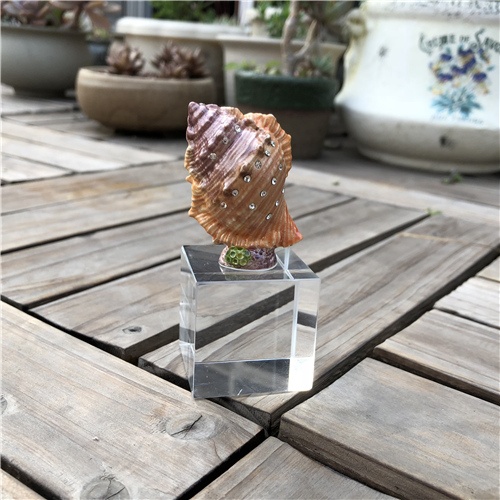 K9 Crystal Table Decoration with Metal Conch