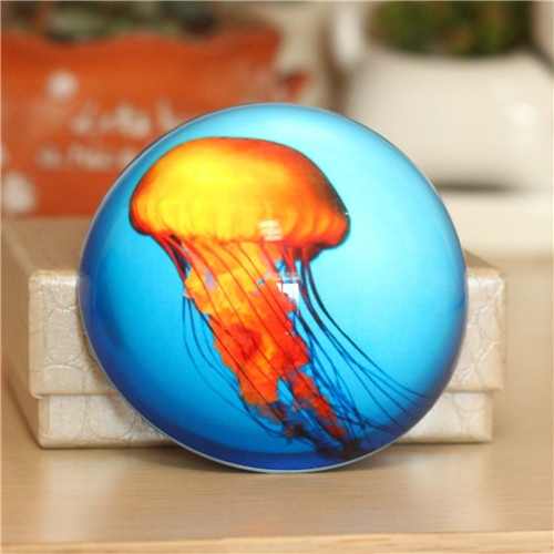Colorful fish Custom Glass Paperweight