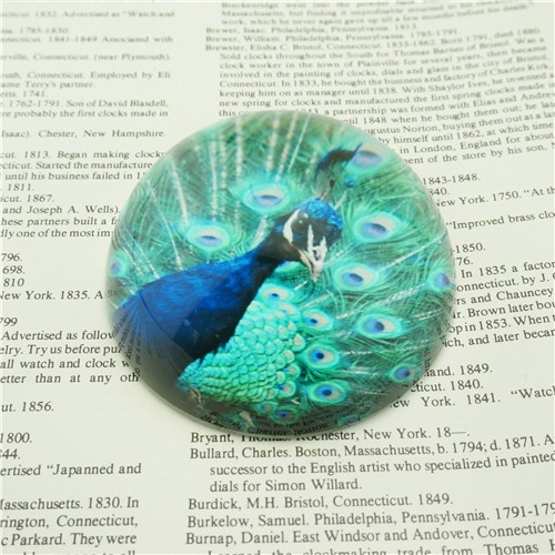 8cm Diameter Glass Dome Paperweights Wholesale/Popular Peacock Design