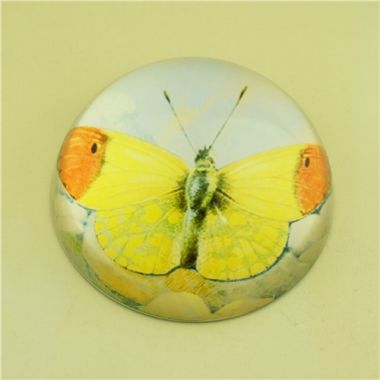 Paperweight/Gift For Him