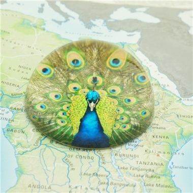 8cm Peacock Art Glass Paperweights/Antique and Collectable Paperweight Online wholesaler