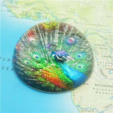 Peacock Design Paperweights/80mm Round Dome Glass Paper Weights