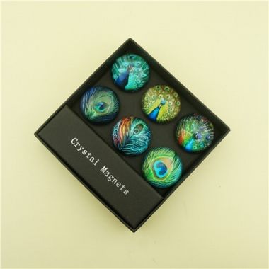 Factory Wholesale Fridge Magnets/Collectible Peacock Series