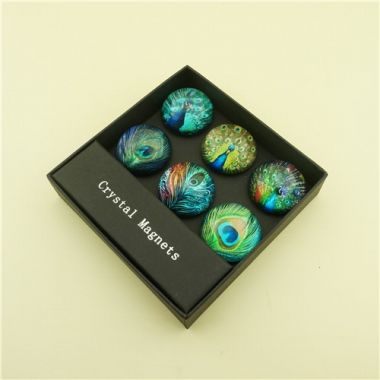 Factory Wholesale Fridge Magnets/Collectible Peacock Series