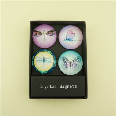 Lovely Dragonfly & Butterfly Pattern on Glass Dome Magnets/3cm/3.5cm/4cm/5cm