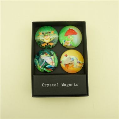 Pretty Frog Glass Fridge Sticker with Strong Rubber Magnets