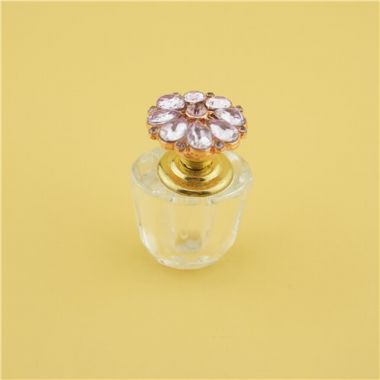 Small Capacity Perfume Glass Bottle with High Quality